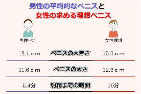 ペニスの太さが超重要だとわかった、平均サイズ調査